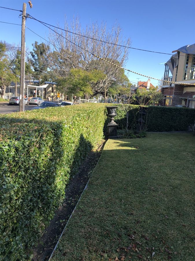 Hedge and lawn maintenance in St Ives