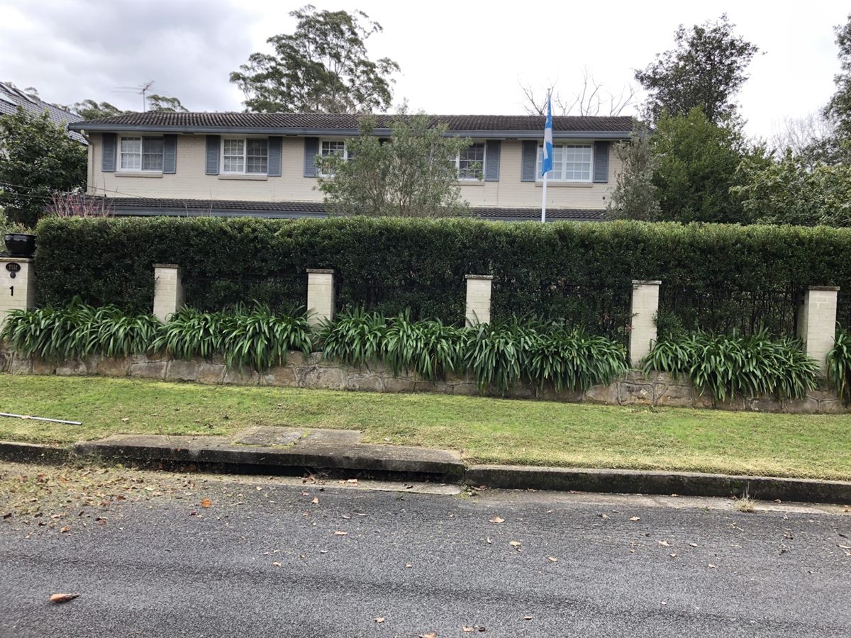 Strata hedge maintenance in Sydney