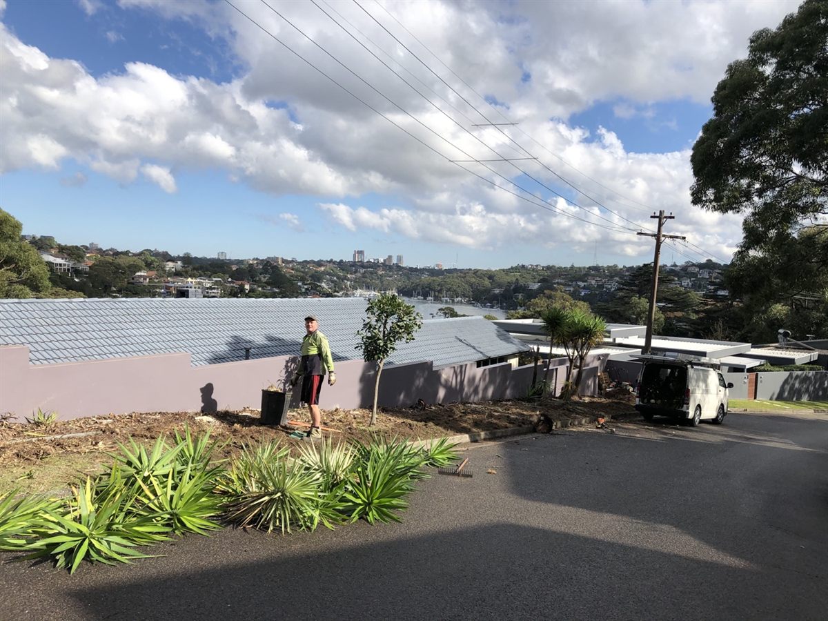 Waterfront garden maintenance on Sydney North Shore