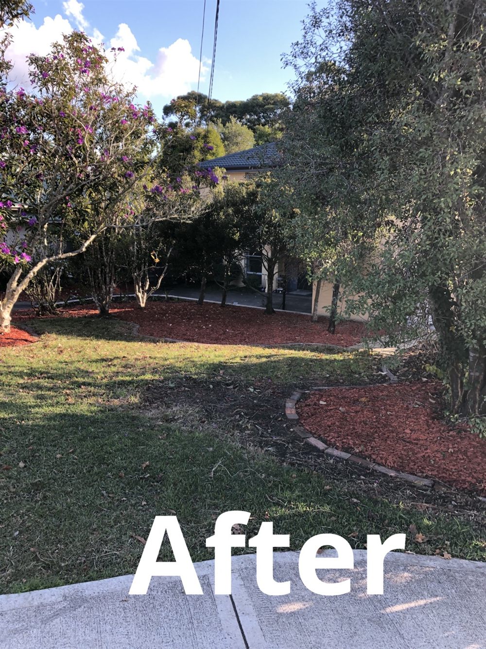 Garden makeover result for a St Ives property