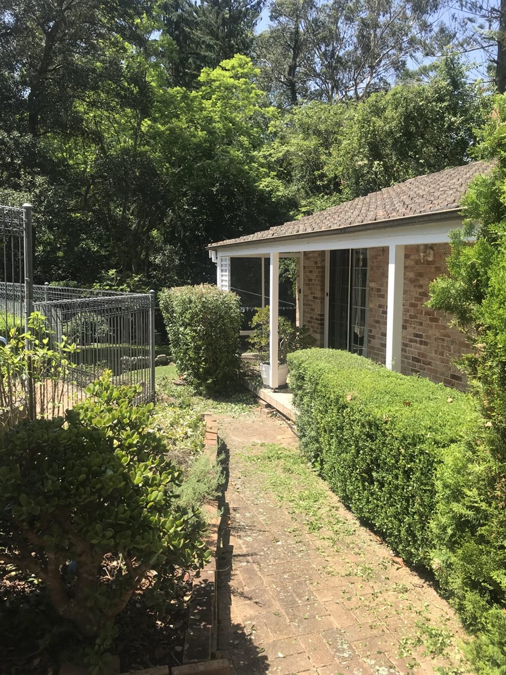 Local gardener maintaining a North Shore residential garden